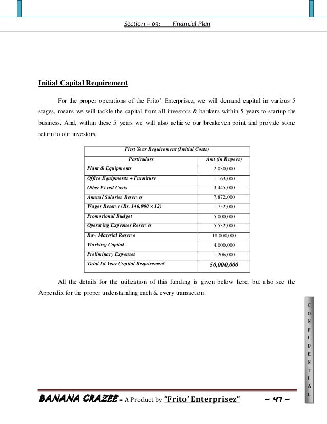 BusinessProposalBananaChips