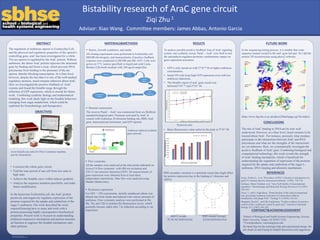 RESEARCH POSTER PRESENTATION DESIGN © 2015
www.PosterPresentations.com
The regulation of arabinose operon in Escherichia Coli,
and the physical and regulatory properties of the operon’s
controlling gene, araC has been investigated for a while.
The ara operon is regulated by the AraC protein. Without
arabinose, the dimer AraC protein represses the structural
gene by binding and forms a loop, which prevents RNA
polymerase from binding to the promoter of the ara
operon, thereby blocking transcription. At a finer level,
however, despite the fact that it is one of the well-studied
regulatory proteins, much remains unknown about AraC.
Here we investigated the positive feedback of AraC
systems and found the bistable range through the
reflection of GFP expression, which is crucial for future
work. Combining synthetic biology and mathematical
modeling, this work sheds light on the bistable behaviors
emerging from sugar metabolism, which could be
exploited for biotechnology and therapeutics.
ABSTRACT
OBJECTIVES
 Strains, Growth conditions, and media
All cloning experiments were performed in Escherichia coli
DH10B (Invitrogen), and measurements of positive feedback
response were conducted in DH10B and MG 1655. Cells were
grown at 37°C (unless specified) in liquid and solid Luria-
Bertani (LB) broth medium with 100 ug/ml ampicillin.
 Plasmid construction
The receiver ParaC—AraC was constructed from six BioBrick
standard biological parts: Promoter activated by AraC in
concert with Arabinose, B ribosome binding site, RBS, AraC
gene, transcriptional terminator, and GFP reporter.
MATERIALS&METHODS
To analyze possible positive feedback loop of AraC signaling
system, one synthetic circuit, ParaC—AraC were built to test
the autoinducer-regulator-promoter combinations impact on
gene expression activation.
• GFP is only turned on with 2*10-10 M or higher arabinose
concentration.
• Initial ON cells keep high GFP expression even with low
arabinose inductions.
• The bistable region of araC gene circuit was
between2*10^-10 and 2*10-7 M.
RESULTS FUTURE WORK
In the sequencing testing process, it is notable that some
sequence mutant existed in the araC gene tail part. So I did the
protein 3D reconstruction using phyre2 software.
(http://www.sbg.bio.ic.ac.uk/phyre2/html/page.cgi?id=index)
The site of AraC binding to DNA are by now well
understood. However, at a finer level, much remains to be
learned about AraC. For instance, precisely what residues
participate in the interactions between AraC and RNA
polymerase and what are the strengths of the interactions
are yet unknown. Here, we systematically investigate the
positive feedback of AraC gene. Combining biological and
computational technology, this work reveals the strength
of AraC binding mechanism, which is beneficial for
understanding the regulation of expression of the proteins
required for the uptake and catabolism of the sugar L-
arabinose, DNA looping and allosteric mechanism.
REFERENCES
Emini, Emilio A., et al. "Prevention of HIV-1 infection in chimpanzees by
gpl20 V3 domain-specific monoclonal antibody." (1992): 728-730.
Gallegos, Maria-Trinidad, et al. "Arac/XylS family of transcriptional
regulators." Microbiology and Molecular Biology Reviews 61.4 (1997):
393-410.
Gross, J., and E. Englesberg. "Determination of the order of mutational
sites governing l-arabinose utilization in Escherichia coliBr by
transduction with phage P1bt." Virology 9.3 (1959): 314-331.
Sheppard, David E., and Ellis Englesberg. "Further evidence for positive
control of the L-arabinose system by gene araC." Journal of molecular
biology 25.3 (1967): 443-454
. CONTANCT&ACKNOWLEDGEMENT
1School of Biological and Health Systems Engineering, Arizona
State University, Tempe, AZ 85287, USA
*Correspondence: xiaowang@asu.edu
We thank Hao for the technique help and experimental design. We
also thank Qi and Fuqing for helpful discussions and suggestions
• Construct the whole gene circuit.
• Find the time period of one cell from low state to
high state.
• Achieve the bistable curve within inducer gradient.
• Analyze the sequence mutation possibility and make
future modification.
In the bacterium Escherichia coli, the AraC protein
positively and negatively regulates expression of the
proteins required for the uptake and catabolism of the
sugar L-arabinose. Our work described the work
required learning how to assay and work with a
protein possessing highly uncooperative biochemical
properties. Present work is focused on understanding
arabinose-responsive mechanism and protein structure
ad function to engineer the bistable mechanism onto
other proteins.
Advisor: Xiao Wang. Committee members: James Abbas, Antonio Garcia
Ziqi Zhu1
Bistability research of AraC gene circuit
Arabinose induced synthetic
gene network
 Flow cytometry
All the samples were analyzed at the time points indicated on
Accuri C6 flow cytometer with 488 nm excitation and
530+15 nm emission detection (GFP). All measurements of
gene expression were obtained from at least three
independent experiments. Date files were analyzed using
Matlab (Mathworks).
 Hysteresis experiment
For OFF ON experiments, initially uninduced culture was
diluted into fresh media and induced with various amounts of
arabinose. Flow cytometry analyses were performed at 2hr,
4hr, 7hr, and 12hr to monitor the fluorescence levels, which
generally became stable after 7 hr induction according to our
experience.
Hysteresis plot
• Mean fluorescence value achieves the peak at 2*10-7 M.
RBS secondary structure is a potential reason that might affect
the protein expression due to the binding of ribosome and
mRNA.
B0032 (weak) RBS mutant (strong)
TCACACAGGAAAG AAAGAGGAGAAA
CONCLUSIONS
www.biotech.uiuc.edu (C6 Flow Cytometry machine,
just for illustration)
 