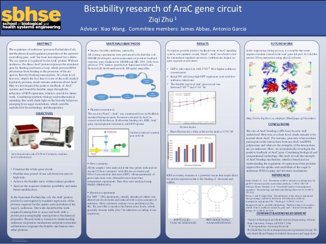 posterpresentations com 36x48 template v5 2015_11_30 poster presentation com