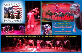 For bookings please contact: Ian Garden, Jr. at 941-894-7659 or Ryan Henning at 941-526-6670
Follow and “LIKE” us
on Facebook. Search for
“America’s Show Camels”
and
Visit us at our Website
<www.americasshowcamels.com>
 