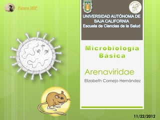 Arenaviridae
Elizabeth Cornejo Hernández
Futura MIP
11/22/2012
 