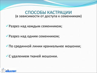 СПОСОБЫ КАСТРАЦИИ
(в зависимости от доступа к семенникам)
Разрез над каждым семенником;
Разрез над одним семенником;
По срединной линии краниальнее мошонки;
С удалением тканей мошонки.
 