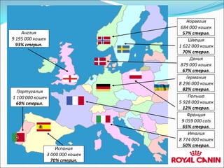 Италия
8 774 000 кошек
50% стерил.
Франция
9 059 000 cats
65% стерил.
Польша
5 928 000 кошек
12% стерил.
Германия
8 296 000 кошек
82% стерил.
Дания
879 000 кошек
67% стерил.
Швеция
1 622 000 кошек
70% стерил.
Норвегия
684 000 кошек
57% стерил.Англия
9 195 000 кошек
93% стерил.
Испания
3 000 000 кошек
70% стерил.
Португалия
1 100 000 кошек
60% стерил.
 