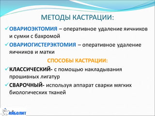 МЕТОДЫ КАСТРАЦИИ:
ОВАРИОЭКТОМИЯ – оперативное удаление яичников
и сумки с бахромой
ОВАРИОГИСТЕРЭКТОМИЯ – оперативное удаление
яичников и матки
СПОСОБЫ КАСТРАЦИИ:
КЛАССИЧЕСКИЙ- с помощью накладывания
прошивных лигатур
СВАРОЧНЫЙ- используя аппарат сварки мягких
биологических тканей
 