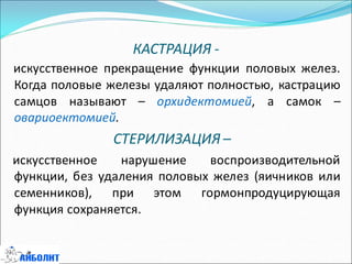 КАСТРАЦИЯ -
искусственное прекращение функции половых желез.
Когда половые железы удаляют полностью, кастрацию
самцов называют – орхидектомией, а самок –
овариоектомией.
СТЕРИЛИЗАЦИЯ –
искусственное нарушение воспроизводительной
функции, без удаления половых желез (яичников или
семенников), при этом гормонпродуцирующая
функция сохраняется.
 