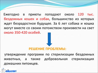 Ежегодно в приюты попадают около 120 тыс.
бездомных кошек и собак, большинство из которых
ждет безрадостное будущее. За 6 лет собака и кошка
могут вместе со своим потомством произвести на свет
около 350-420 особей.
РЕШЕНИЕ ПРОБЛЕМЫ:
утверждение программ по стерилизации бездомных
животных, а также добровольная стерилизация
домашних питомцев.
 