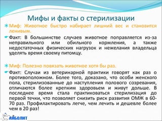 Мифы и факты о стерилизации
Миф: Животное быстро набирает лишний вес и становится
ленивым.
Факт: В большинстве случаев животное поправляется из-за
неправильного или обильного кормления, а также
недостаточных физических нагрузок и нежелания владельца
уделять время своему питомцу.
Миф: Полезно повязать животное хотя бы раз.
Факт: Случаи из ветеринарной практики говорят как раз о
противоположном. Более того, доказано, что особи женского
пола, стерилизованные до наступления полового созревания,
отличаются более крепким здоровьем и живут дольше. В
последнее время стала практиковаться стерилизация до
первой течки, что позволяет снизить риск развития ОМЖ в 60-
70 раз. Профилактировать легче, чем лечить и дешевле более
чем в 20 раз!
 