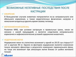 ВОЗМОЖНЫЕ НЕГАТИВНЫЕ ПОСЛЕДСТВИЯ ПОСЛЕ
КАСТРАЦИИ
 ОЖИРЕНИЕ
В большинстве случаев животное поправляется из-за неправильного или
обильного кормления, а также недостаточных физических нагрузок и
нежелания владельца уделять время своему питомцу.
 МОЧЕКАМЕННАЯ БОЛЕЗНЬ
Развитие МКБ, при условии кастрации в правильные сроки, никак не
связано с самой процедурой, а является следствием неправильного
кормления и нефизиологических условий содержания животного.
 НЕДЕРЖАНИЕ МОЧИ
Недержание мочи по статистике возникает у одной из 20-25 сук старше 6-7
лет и крупнее 40 кг. Одним из факторов недержания является изменение
тонуса мочевого сфинктера в результате изменения гормонального фона,
но чаще это возникает при ампутации матки близко от шейки мочевого
пузыря.
 