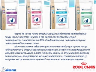Через 48 часов после стерилизации ежедневное потребление
пищи увеличивается на 20%, в то время как энергетические
потребности снижаются на 30%. Следовательно, повышается риск
появления избыточного веса.
Мочевые камни, образующиеся в мочевыводящихпутях, чаще
наблюдаются у стерилизованных животных, особенно страдающих от
избыточного веса. Дело в том, что эти кошки не отличаются высокой
активностью, потребляютменьше жидкости и, соответственно, у
них реже частота мочеиспусканийи повышена концентрация мочи.
 