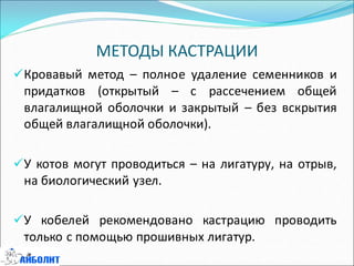 МЕТОДЫ КАСТРАЦИИ
Кровавый метод – полное удаление семенников и
придатков (открытый – с рассечением общей
влагалищной оболочки и закрытый – без вскрытия
общей влагалищной оболочки).
У котов могут проводиться – на лигатуру, на отрыв,
на биологический узел.
У кобелей рекомендовано кастрацию проводить
только с помощью прошивных лигатур.
 