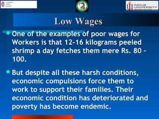 Low WagesLow Wages
One of the examples of poor wages for
Workers is that 12-16 kilograms peeled
shrimp a day fetches them mere Rs. 80 –
100.
But despite all these harsh conditions,
economic compulsions force them to
work to support their families. Their
economic condition has deteriorated and
poverty has become endemic.
 