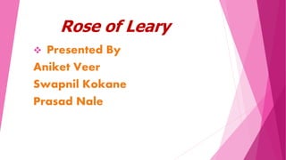 Rose of Leary
 Presented By
Aniket Veer
Swapnil Kokane
Prasad Nale
 