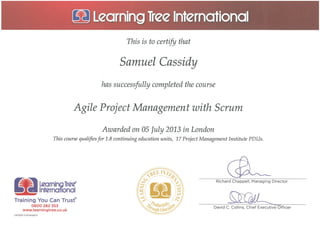 Agile PM with Scrum Learning Tree