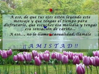 A eso, de que tus ojos estén leyendo este mensaje y que tengas el tiempo para disfrutarlo, que escuches esa melodía y tengas esa sensación de cariño... A eso..., no le llames casualidad, llámale ¡¡ A M I S T A D !! 