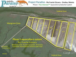 Phase 1 aquaculture system
Rio Fuerte Estuary
50 hectares land - 8 production ponds - 35 hectares
7.5 hectares bioremediation canals for water reuse
P-1
P-2
P-3
P-4
P-5
P-6
P-7
P-8
Mangrove Zone
Seawater
pump station
x
Project Paradise - Rio Fuerte Estuary - Sinaloa, Mexico
Phase 1 “Eco Intensive”™ aquaculture production system
Federal Zone
estuary
Federal Zone
 
