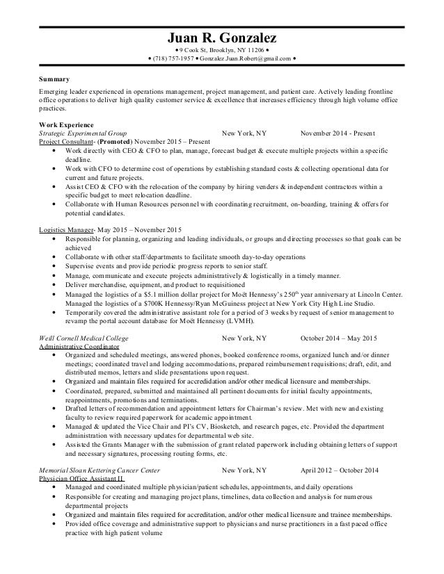 my professional resume