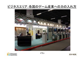 ビジネスエリア：各国のゲーム産業への力の入れ方	
  




            イラン	
 