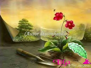 (Autor desconhecido) 