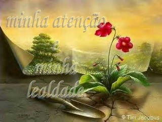 minha atenção e  minha  lealdade. 