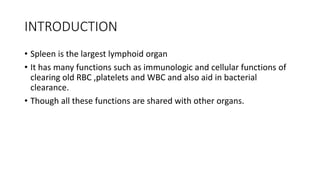 Applied Anatomy and Physiology of spleen | PPTX