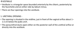 0_ANATOMY OF FEMALE REPRODUCTIVE SYSTEM.pptx
