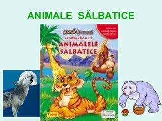 ANIMALE SĂLBATICE
 