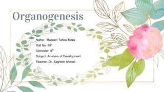 Organogenesis
Name: Mubeen Tahira Mirza
Roll No: 881
Semester: 6th
Subject: Analysis of Development
Teacher: Dr. Sagheer Ahmad
 