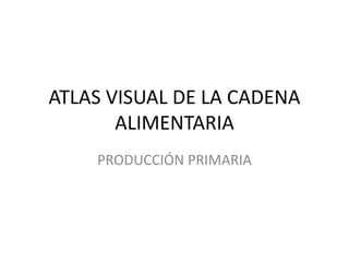 ATLAS VISUAL DE LA CADENA
ALIMENTARIA
PRODUCCIÓN PRIMARIA
 