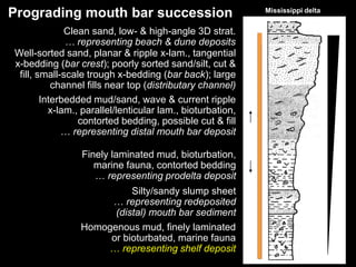 Sedimentology presentation and stratigraphy: processes, environments ...