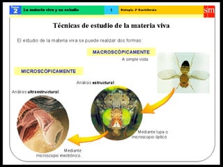 TÉCNICAS EN BIOLOGÍA 2º Bachillerato - Ver.2014