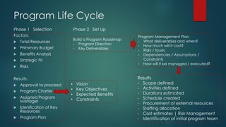 Program Management | PDF