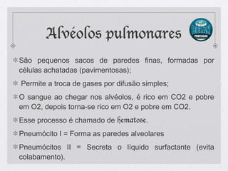 Alvéolos pulmonares
São pequenos sacos de paredes finas, formadas por
células achatadas (pavimentosas);
Permite a troca de gases por difusão simples;
O sangue ao chegar nos alvéolos, é rico em CO2 e pobre
em O2, depois torna-se rico em O2 e pobre em CO2.
Esse processo é chamado de hematose.
Pneumócito I = Forma as paredes alveolares
Pneumócitos II = Secreta o líquido surfactante (evita
colabamento).
 