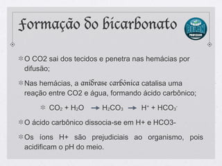 Formação do bicarbonato
O CO2 sai dos tecidos e penetra nas hemácias por
difusão;
Nas hemácias, a anidrase carbônica catalisa uma
reação entre CO2 e água, formando ácido carbônico;
CO2 + H2O H2CO3 H+
+ HCO3
-
O ácido carbônico dissocia-se em H+ e HCO3-
Os íons H+ são prejudiciais ao organismo, pois
acidificam o pH do meio.
 