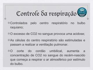 Controle da respiração
Controlados pelo centro respiratório no bulbo
raquiano;
O excesso de CO2 no sangue provoca uma acidose;
As células do centro respiratório são estimuladas e
passam a realizar a ventilação pulmonar.
O corte do cordão umbilical, aumenta a
concentração de CO2 no sangue do recém-nascido
que começa a respirar o ar atmosférico por estímulo
do bulbo.
 
