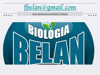 fbelan@gmail.com
www.facebook.com/belan.biologia
 