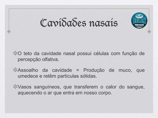 Cavidades nasais
O teto da cavidade nasal possui células com função de
percepção olfativa.
Assoalho da cavidade = Produção de muco, que
umedece e retêm partículas sólidas.
Vasos sanguíneos, que transferem o calor do sangue,
aquecendo o ar que entra em nosso corpo.
 