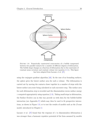 Chapter 1. General Introduction 20
Figure 1.8: Numerically constructed cross-section of a bubble compressed
between two parallel contacts for a number of diﬀerent degrees of deformation.
The bubble shape changes as a function of deformation due to the constraints of
constant mean curvature and constant volume (see equation (1.1)). This ﬁgure
has been adapted from Lacasse et al. [27].
using the conjugate gradient algorithm [40]. In the case of no bounding surfaces,
the sphere gives the lowest surface area for such a volume. The deformation is
carried out by moving the contacts closer together in a number of steps with the
lowest surface area state being calculated at each successive step. The surface area
for each deformation step is recorded and the dimensionless excess surface energy
ε computed appropriately using equation (1.9). Taking small steps in deformation,
the Surface Evolver can in this way provide us with data for the bubble-bubble
interaction (see Appendix F) which may then be used to ﬁt prospective interac-
tions, as shown in Figure 1.9, or to test the results of models such as the Z-cone
model, introduced in Chapter 2.
Lacasse et al. [27] found that the response of ε to dimensionless deformation ξ
was stronger than a harmonic repulsive potential of the form assumed by models
 
