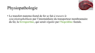 Physiopathologie
• Le transfert materno-foetal de fer se fait à travers le
syncytiotrophoblaste par l’intermédiaire du transporteur membrannaire
du fer, la ferroportine, qui serait régulée par l’hepcidine foetale.
 