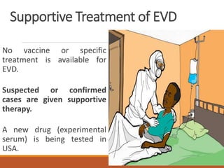 Supportive Treatment of EVD
No vaccine or specific
treatment is available for
EVD.
Suspected or confirmed
cases are given supportive
therapy.
A new drug (experimental
serum) is being tested in
USA.
 