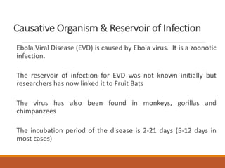 Causative Organism & Reservoir of Infection
Ebola Viral Disease (EVD) is caused by Ebola virus. It is a zoonotic
infection.
The reservoir of infection for EVD was not known initially but
researchers has now linked it to Fruit Bats
The virus has also been found in monkeys, gorillas and
chimpanzees
The incubation period of the disease is 2-21 days (5-12 days in
most cases)
 
