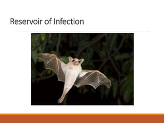 Reservoir of Infection
 