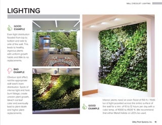 LIGHTING
GOOD
EXAMPLE
BAD
EXAMPLE
GOOD
EXAMPLE
WALL CHECKLIST | LIGHTING
15GSky Plant Systems, Inc.
Even light distribution
flooded from top to
bottom and side to
side of the wall. This
leads to healthy,
vigorous plants
with uniform growth
habits and little to no
replacements.
Obvious spot effect,
not the appropriate
wall wash/ even
distribution. Spots of
intense light and heat
burn foliage, create
uneven plant growth,
bleach out leaf
color and eventually
lead to plant death
and higher plant
replacements.
Interior plants need an even flood of 150 fc / 1500
lux of light provided across the entire surface of
the wall for a min. of 10 to 12 hours per day with a
color temp. of 4000 to 4500° K. We recommend
that either Metal Halide or LED's be used.
 
