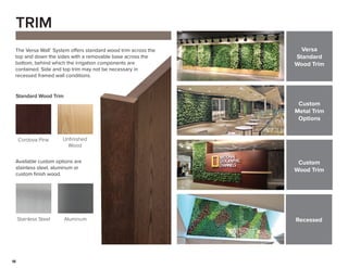 The Versa Wall®
System offers standard wood trim across the
top and down the sides with a removable base across the
bottom, behind which the irrigation components are
contained. Side and top trim may not be necessary in
recessed framed wall conditions.
18
TRIM
Available custom options are
stainless steel, aluminum or
custom finish wood.
Standard Wood Trim
Stainless Steel
Cordova Pine Unfinished
Wood
Aluminum
Custom
Metal Trim
Options
Custom
Wood Trim
Recessed
Versa
Standard
Wood Trim
 