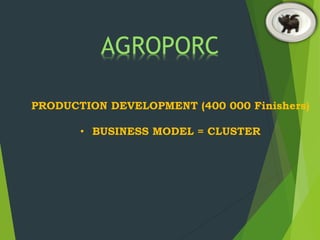AGROPORC
PRODUCTION DEVELOPMENT (400 000 Finishers)
• BUSINESS MODEL = CLUSTER
 