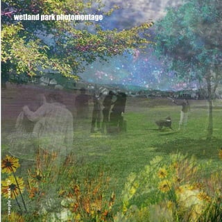 wetland park photomontage
samplework20
 