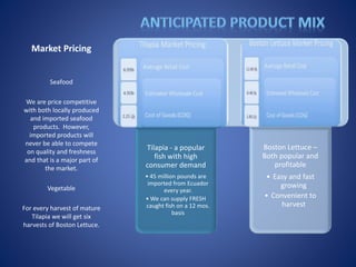 Market Pricing
Seafood
We are price competitive
with both locally produced
and imported seafood
products. However,
imported products will
never be able to compete
on quality and freshness
and that is a major part of
the market.
Vegetable
For every harvest of mature
Tilapia we will get six
harvests of Boston Lettuce.
Tilapia - a popular
fish with high
consumer demand
• 45 million pounds are
imported from Ecuador
every year.
• We can supply FRESH
caught fish on a 12 mos.
basis
Boston Lettuce –
Both popular and
profitable
• Easy and fast
growing
• Convenient to
harvest
 