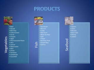 Vegetables
• Basil
• Squash
• Bok Choy
• Collard Green
• Sorrel
• Arugula
• Algae
• Pharmaceutical Plants
• Okra
• Lettuce
• Watermelon
• Mint
• Chives
• Tomatoes
• Cantaloupe
• Cucumber
Fish
• Sea Bream
• Branzini
• Cobia
• Red Drum
• Black Sea Bass
• Sole
• Tilapia
• Rainbow Trout
• Striped Bass
• Salmon
Seafood
• Oysters
• Clams
• Mussels
• Blue Crabs
• Shrimp
• Lobster
 
