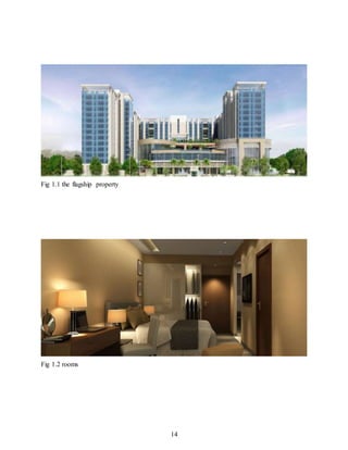 14
Fig 1.1 the flagship property
Fig 1.2 rooms
 