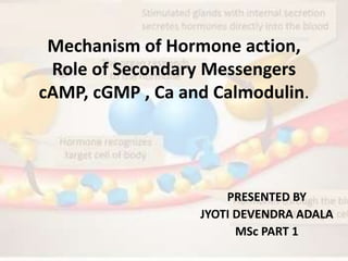 Mechanism of Hormone action,
Role of Secondary Messengers
cAMP, cGMP , Ca and Calmodulin.
PRESENTED BY
JYOTI DEVENDRA ADALA
MSc PART 1
 