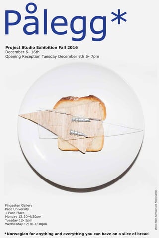 Pålegg*
*Norwegian for anything and everything you can have on a slice of bread
Project Studio Exhibition Fall 2016
December 6- 16th
Opening Reception Tuesday December 6th 5- 7pm
Fingesten Gallery
Pace University
1 Pace Plaza
Monday 12:30-4:30pm
Tuesday 12- 5pm
Wednesday 12:30-4:30pm
photo:NalinSpringerandAlexisGarces
 